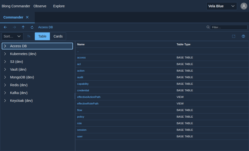 The same explorer, drilled into the SQL source: the access realm's tables