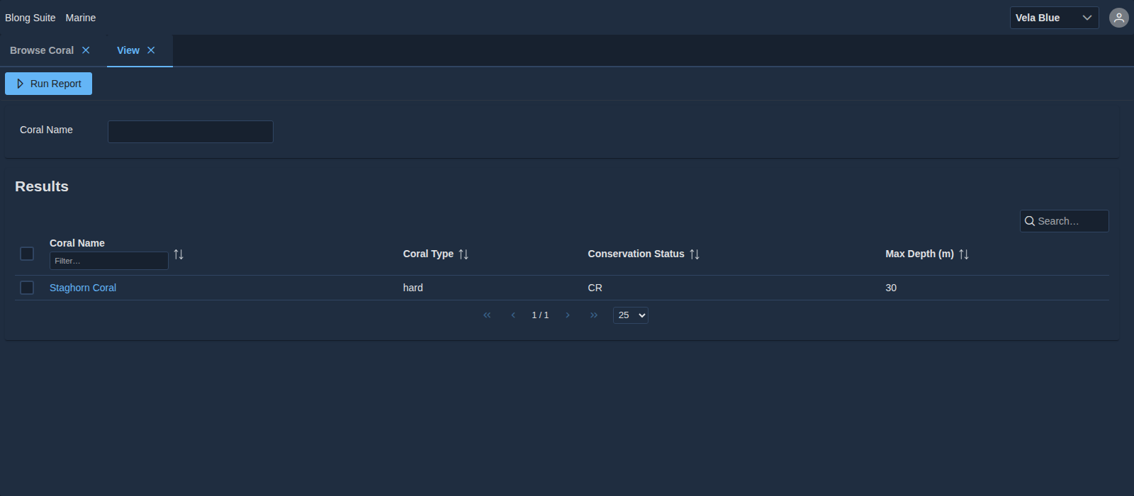 The generated report page for the same entity: its filter bar and the resulting table